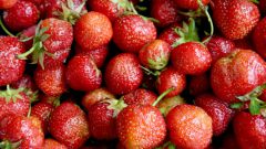 When ripe early strawberries