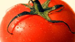 Как приготовить запеканку из помидоров