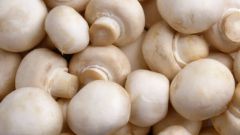 Как вкусно приготовить грибы