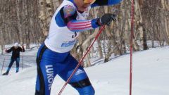 Зимние олимпийские виды спорта: лыжные гонки