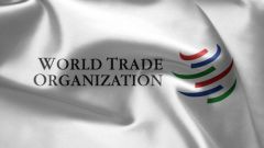 Чем грозит России вступление в ВТО