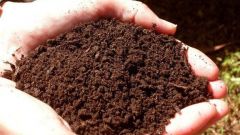 How to reduce the acidity of the soil