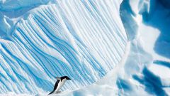 Как Google сфотографировал Антарктику