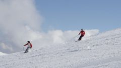 Зимние олимпийские виды спорта: горнолыжный спорт