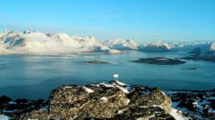 Что произошло с ледовой коркой в Гренландии
