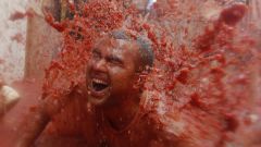 How can I participate in the tomato battle of La Tomatina