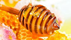 Как по вкусу определить происхождение меда