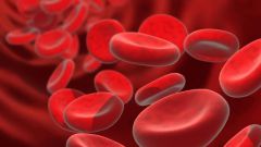 What should be the hemoglobin level is normal