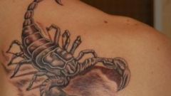 Что означает тату - скорпион на плече