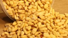 Useful properties of pine nuts