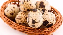 Useful properties of quail eggs