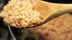 How to cook pearl barley for fishing
