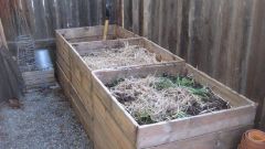 How to get compost