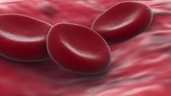 What type of blood is the rarest