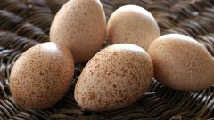 Яйца каких пернатых можно использовать в кулинарии