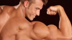 How to increase biceps