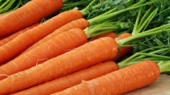 Что приготовить из обычной моркови
