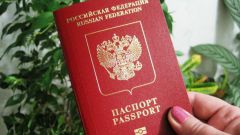 Как узнать ИНН по паспортным данным