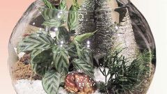 Как создать новогоднюю подарочную композицию из комнатных растений
