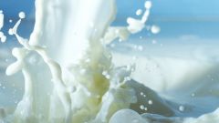 Причины скисания молока