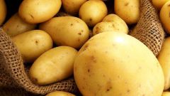 Ранняя картошка: секреты выращивания