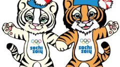 Как относятся россияне к проведению Олимпиады в Сочи