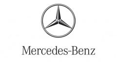 What is the brand icon of the company Mercedes
