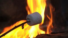 How to roast marshmallows on a campfire