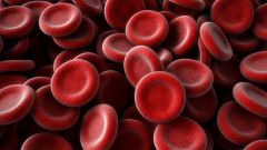 Зачем нужно знать свою группу крови