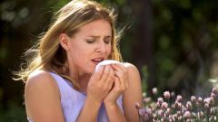 Why allergies itchy eyes and a runny nose appears