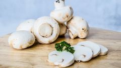 How to start a mushroom business