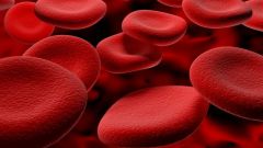 Что такое реология крови