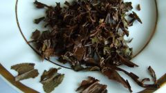 What is Tealeaf and what is it for