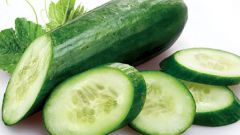 Useful bitter cucumbers