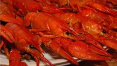 Can pregnant women eat crayfish