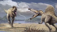 Какие динозавры были самыми крупными