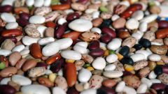 How to sprout beans at home