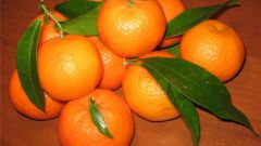 Несколько признаков спелого мандарина