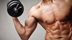 Как растут мышцы при силовых нагрузках