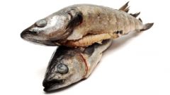 Какие есть нежирные сорта рыбы 