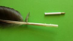 Как сделать шариковую ручку из пера птицы 
