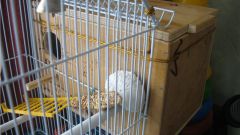 Как сделать гнездо для волнистых попугаев