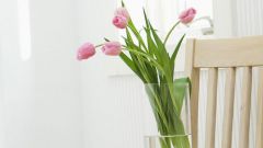 Как дольше сохранить срезанные тюльпаны в вазе