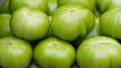 Как засолить зеленые помидоры в бочке