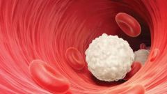 What if leukocytes reduced 