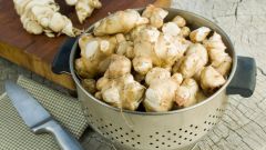 Рецепты блюд из топинамбура