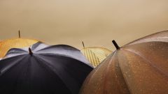 Как ухаживать за зонтом