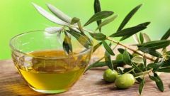 Полезные свойства оливкового масла