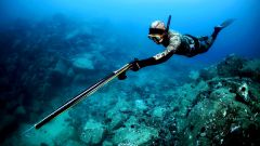 Как выбрать снаряжение для подводной рыбалки