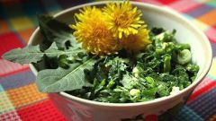 Как приготовить весенний салат из одуванчиков